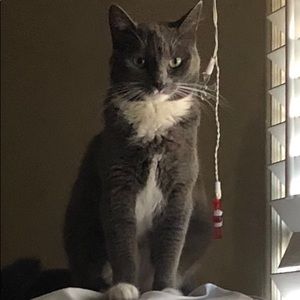 Meet your Posher, Paula